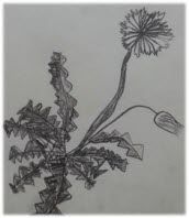 창의융합프로젝트