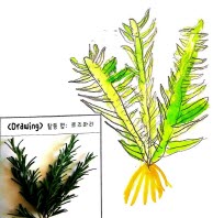 창의융합프로젝트