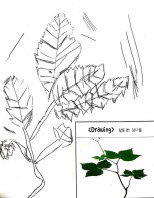 창의융합프로젝트