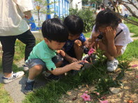 창의융합프로젝트